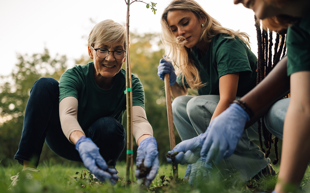 Gemeinsame Baumpflanzaktion im Wald Mehrere Freiwillige pflanzen gemeinsam einen jungen Baum im Wald, um die Umwelt zu schützen.