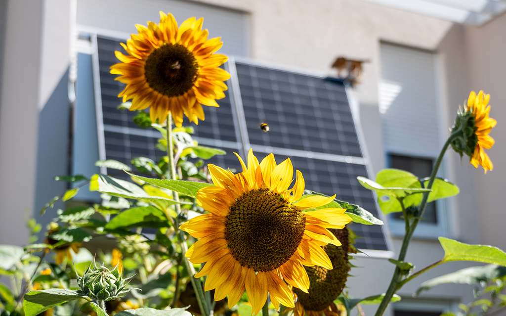 Mini-Photovoltaikanlage am Balkon Balkonkraftwerk: Kleine Solarmodule am Balkongeländer erzeugen Strom für die Wohnung per einfachem Steckeranschluss.